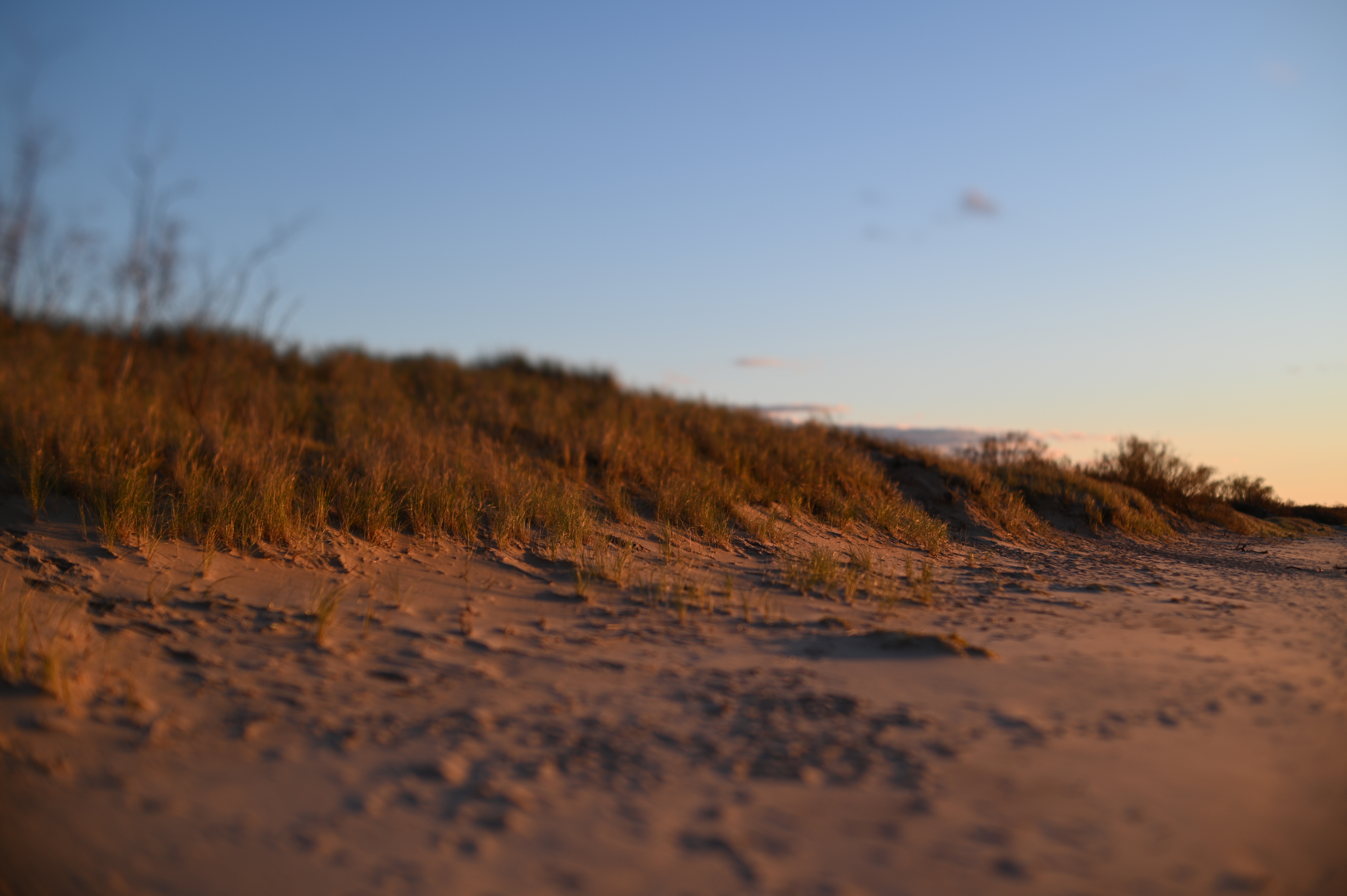 2025/10/18 - walk/DSC_0359.JPG